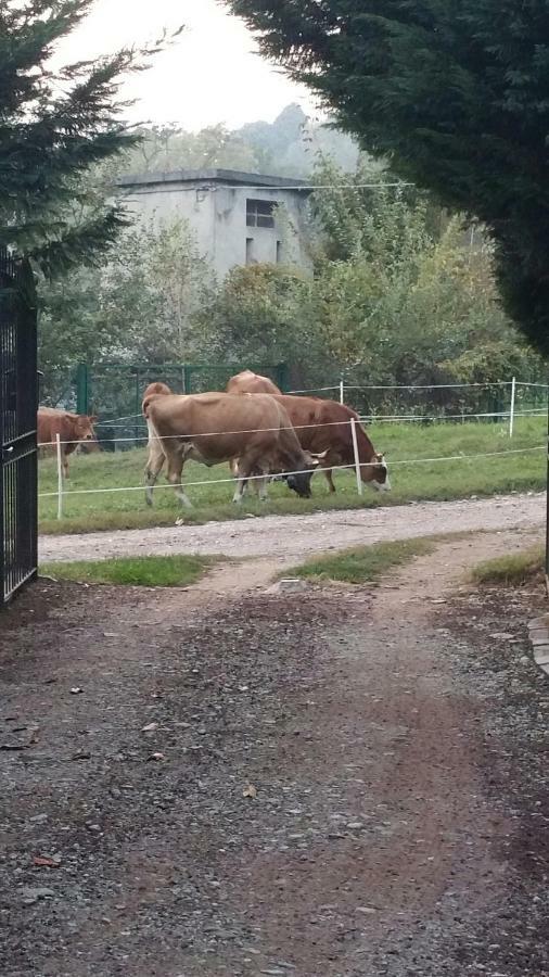 Romagnoli Family Cottage Ameno エクステリア 写真