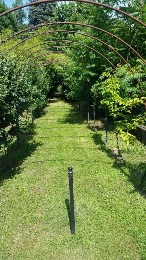 Romagnoli Family Cottage Ameno エクステリア 写真