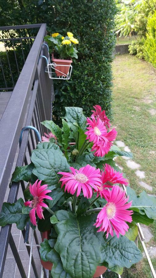 Romagnoli Family Cottage Ameno エクステリア 写真